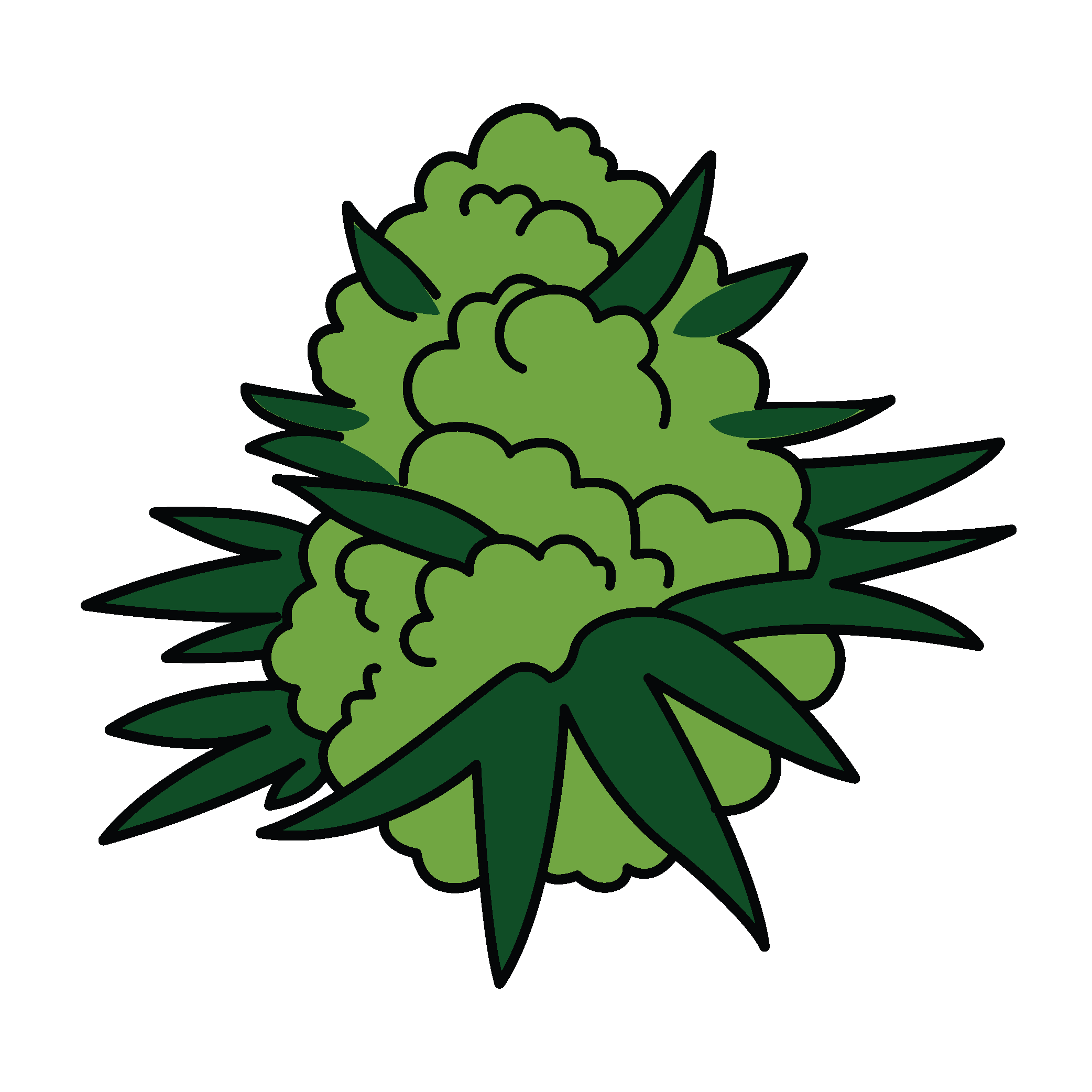 https://cannavate.nyc3.cdn.digitaloceanspaces.com/default.png https://cannavate.nyc3.cdn.digitaloceanspaces.com/default.png